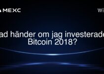 Vad händer om jag investerade i Bitcoin 2018?