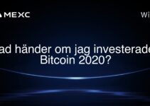 Vad händer om jag investerade i Bitcoin 2020?