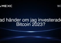 Vad händer om jag investerade i Bitcoin 2023?