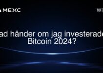 Vad händer om jag investerade i Bitcoin 2024?