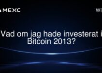 Vad om jag hade investerat i Bitcoin 2013?