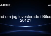 Vad om jag investerade i Bitcoin 2012?