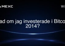 Vad om jag investerade i Bitcoin 2014?