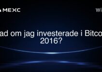 Vad om jag investerade i Bitcoin 2016?