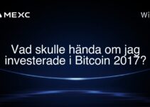 Vad skulle hända om jag investerade i Bitcoin 2017?
