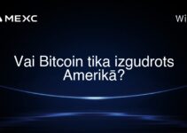Vai Bitcoin tika izgudrots Amerikā?