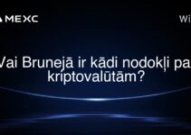 Vai Brunejā ir kādi nodokļi par kriptovalūtām?