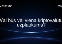 Vai būs vēl viena kriptovalūtu uzplaukums?