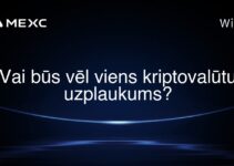 Vai būs vēl viens kriptovalūtu uzplaukums?