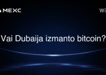 Vai Dubaija izmanto bitcoin?