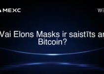 Vai Elons Masks ir saistīts ar Bitcoin?