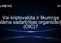 Vai kriptovalūta ir likumīga Islāma sadarbības organizācijā (OIC)?