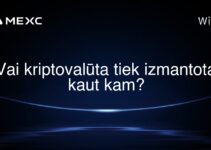 Vai kriptovalūta tiek izmantota kaut kam?