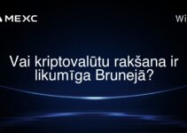 Vai kriptovalūtu rakšana ir likumīga Brunejā?