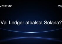 Vai Ledger atbalsta Solana?