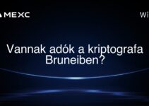 Vannak adók a kriptografa Bruneiben?