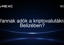 Vannak adók a kriptovalutákra Belizében?