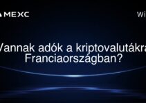 Vannak adók a kriptovalutákra Franciaországban?