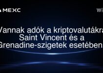 Vannak adók a kriptovalutákra Saint Vincent és a Grenadine-szigetek esetében?