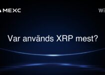 Var används XRP mest?