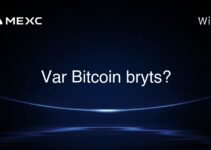 Var Bitcoin bryts?