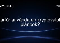 Varför använda en kryptovaluta plånbok?