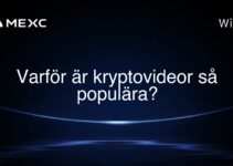 Varför är kryptovideor så populära?