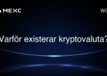 Varför existerar kryptovaluta?