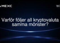 Varför följer all kryptovaluta samma mönster?