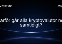 Varför går alla kryptovalutor ner samtidigt?