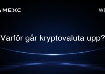 Varför går kryptovaluta upp?