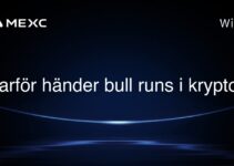 Varför händer bull runs i krypto?