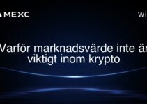 Varför marknadsvärde inte är viktigt inom krypto