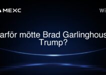 Varför mötte Brad Garlinghouse Trump?