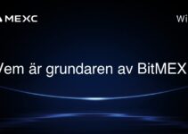 Vem är grundaren av BitMEX?