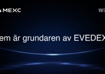 Vem är grundaren av EVEDEX?
