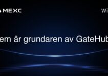 Vem är grundaren av GateHub?