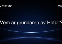 Vem är grundaren av Hotbit?