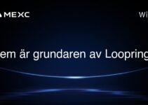 Vem är grundaren av Loopring?