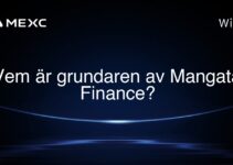 Vem är grundaren av Mangata Finance?