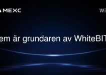 Vem är grundaren av WhiteBIT?