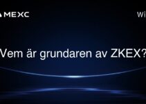 Vem är grundaren av ZKEX?
