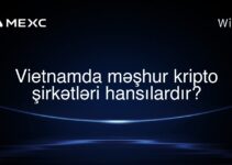 Vietnamda məşhur kripto şirkətləri hansılardır?