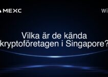 Vilka är de kända kryptoföretagen i Singapore?