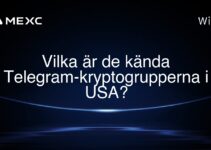 Vilka är de kända Telegram-kryptogrupperna i USA?