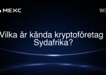 Vilka är kända kryptoföretag i Sydafrika?