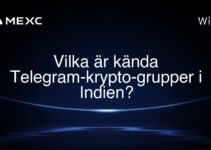 Vilka är kända Telegram-krypto-grupper i Indien?