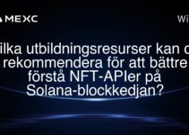 Vilka utbildningsresurser kan du rekommendera för att bättre förstå NFT-APIer på Solana-blockkedjan?