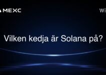Vilken kedja är Solana på?