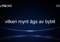 vilken mynt ägs av bybit